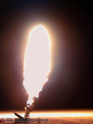 P9020059