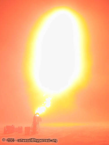 P9030205